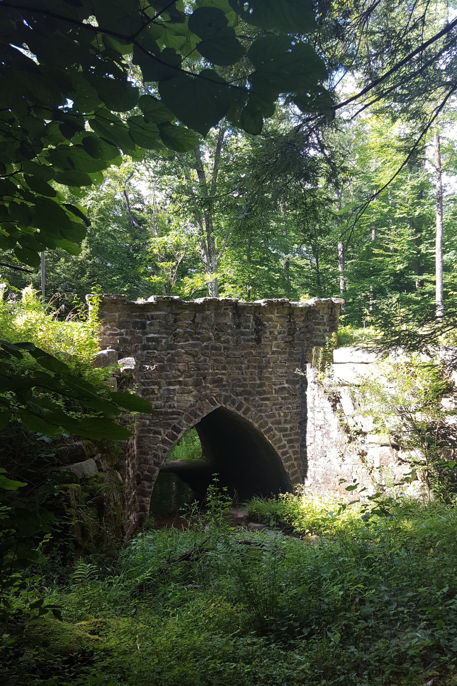 Allegany State Park, Castle Bridge