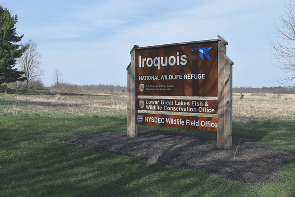Get Outside in Buffalo, NY | Iroquois National Wildlife Refuge