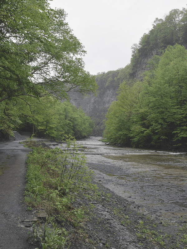 Rainy Day Trip to Ithaca, NY | Taughannock Falls