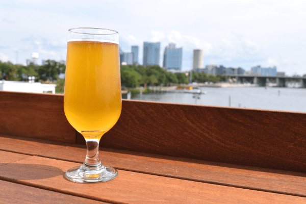 Drink at M. Bird, the rooftop bar in Tampa's Armature Works