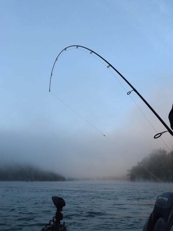 A bent fishing rod as fog rises over Niagara River